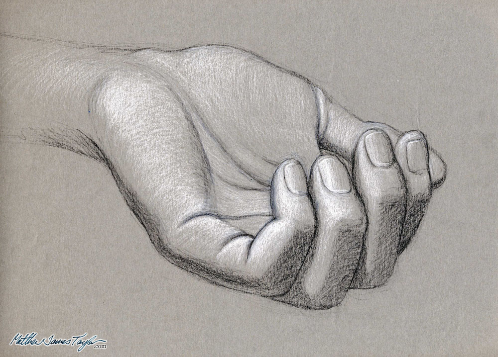 1000x718 Human Anatomy Drawing Studies - Hand Study Drawing
