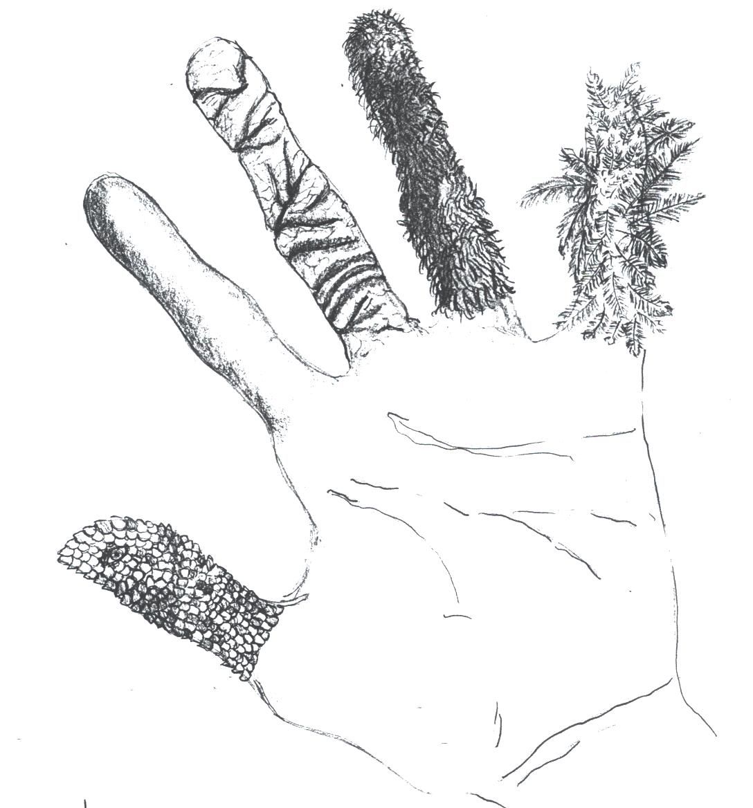Hand Texture Drawing at Explore collection of Hand
