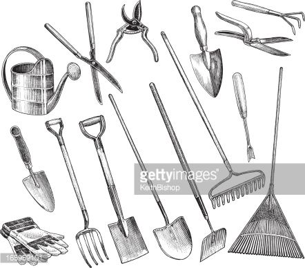 442x388 Ink Drawing Garden Tools - Hand Tools Drawing