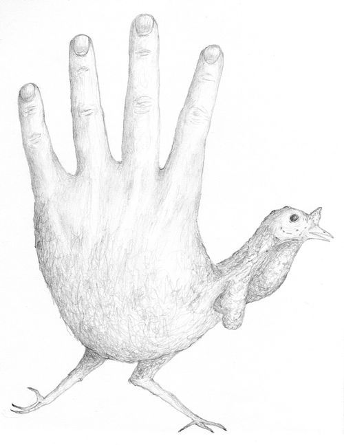 Hand Turkey Drawing at Explore collection of Hand