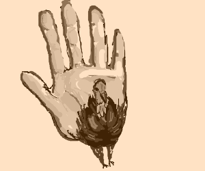 300x250 A Realistic Hand Turkey Drawing - Hand Turkey Drawing