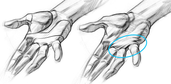 600x297 how to draw hands details for realistic hands! proko - Hands For Drawing