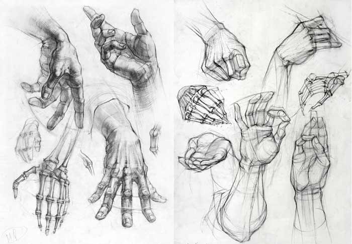 700x484 Drawing Hands - Hands For Drawing