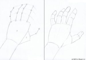 300x210 How To Draw An Open Hand Step - Hands Open Drawing
