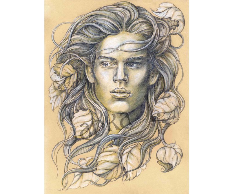 794x672 Original Portrait Drawing Handsome Man Elf Male Fantasy Etsy - Handsome Man Drawing