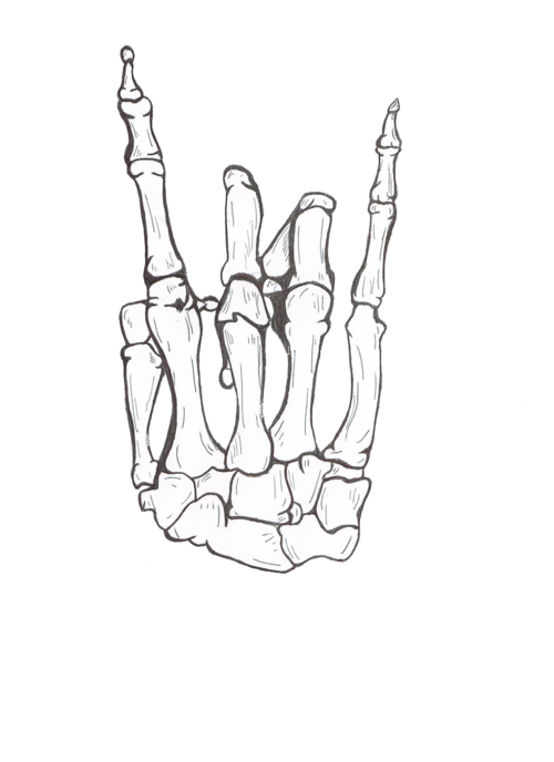 500x688 Drawing Cool Rock Awesome Hand Sketch Skeleton Bones Hang Loose - Hang Loose Drawing