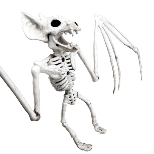 500x500 halloween skeleton hanging bat bone sales online white - Hanging Bat Drawing