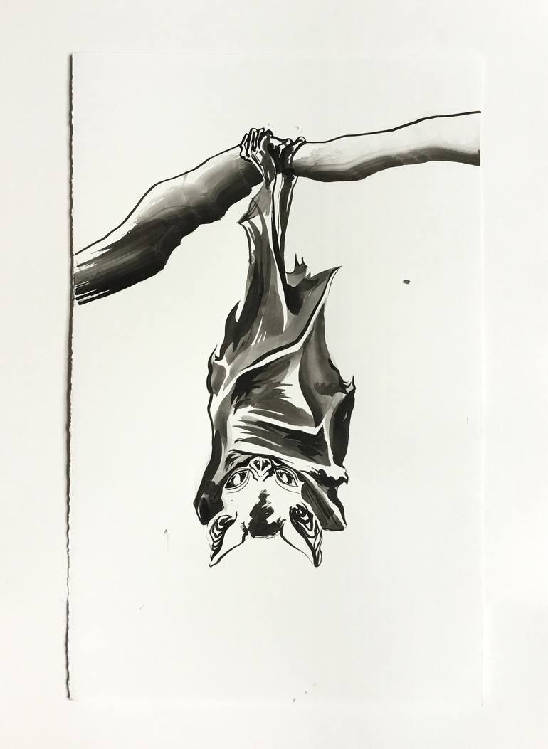 770x1053 hanging bat - Hanging Bat Drawing
