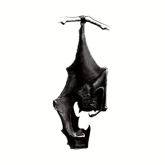 Hanging Bat - Hanging Bat Drawing. 