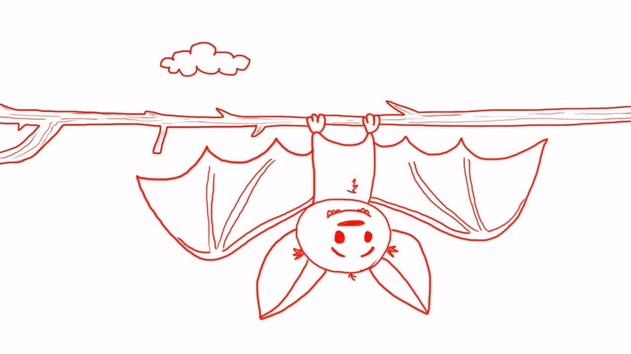 Hanging Bat Drawing at Explore collection of