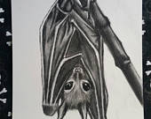 170x135 people who have favourited cute hanging bat charcoal drawing - Hanging Bat Drawing