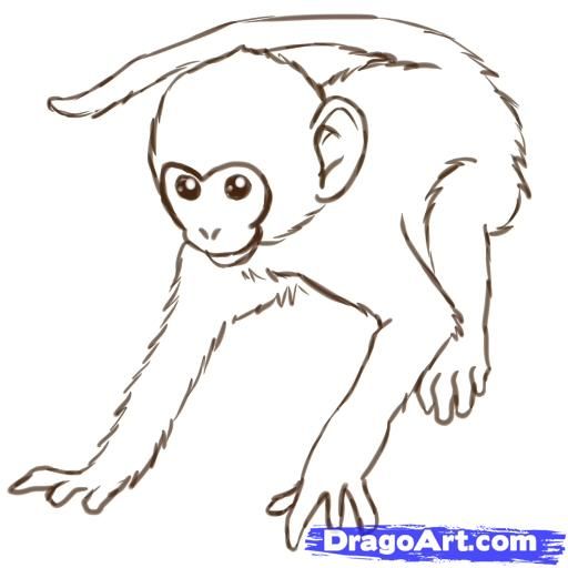 512x512 Drawing Of Monkey Monkeys Drawings How To Draw Step Sweet - Hanging Monkey Drawing