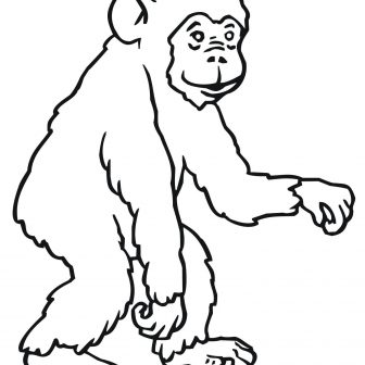 336x336 How To Draw A Cartoon Monkey Hanging From Tree Youtube An Easy - Hanging Monkey Drawing