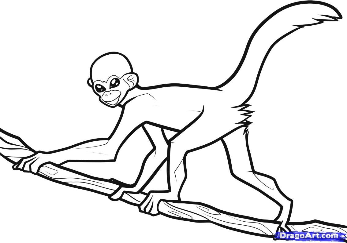 1134x796 How To Draw A Hanging Monkey With Free Monkey Drawing Download - Hanging Monkey Drawing