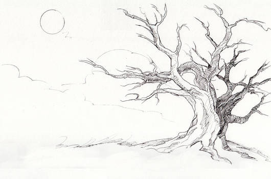 530x350 Langtrue - Hanging Tree Drawing