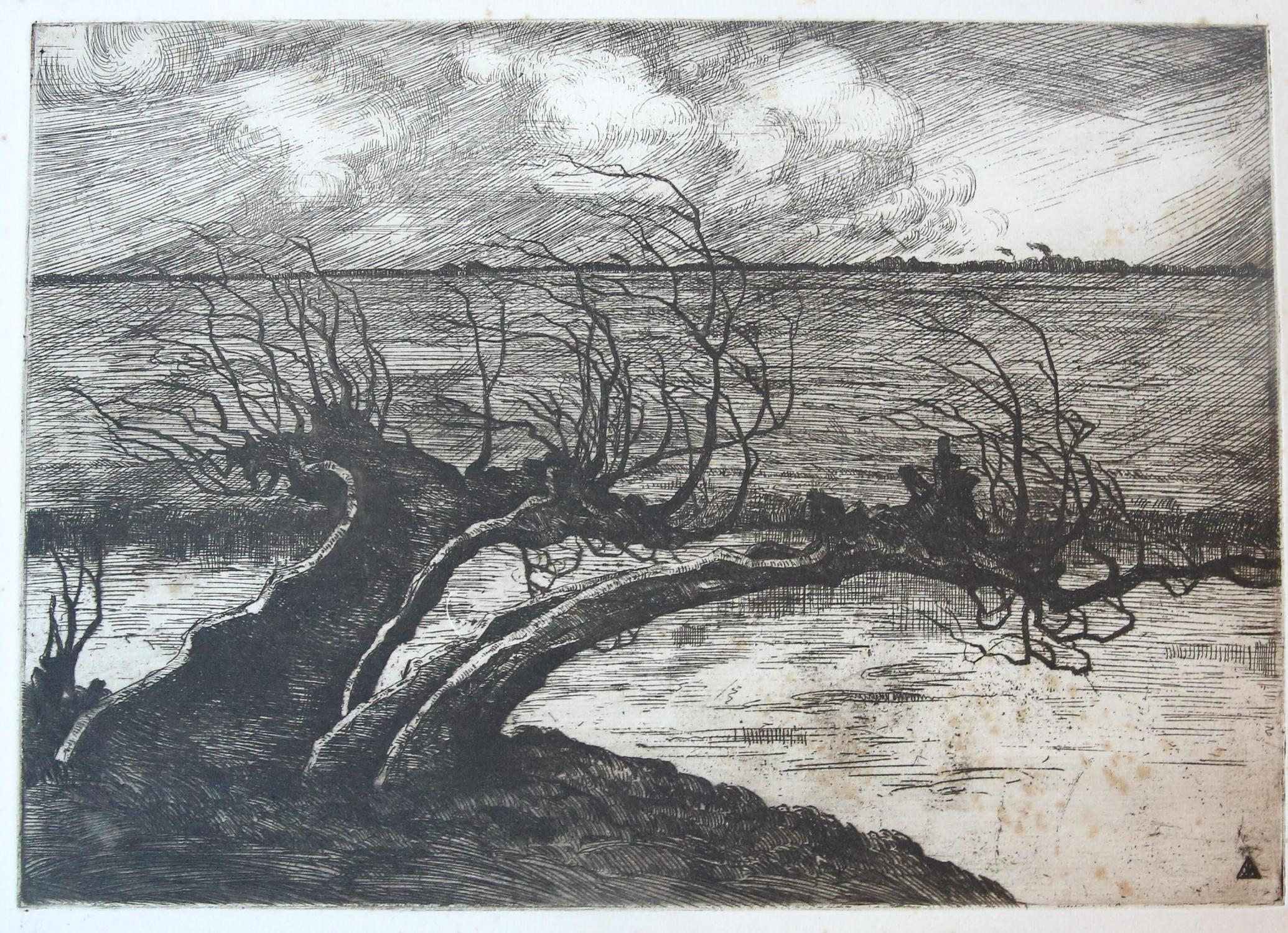 2070x1500 Etsetching Hanging Tree - Hanging Tree Drawing