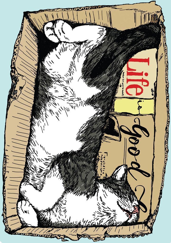 720x1019 Life Is Good Happy Cat Illustration - Happy Cat Drawing