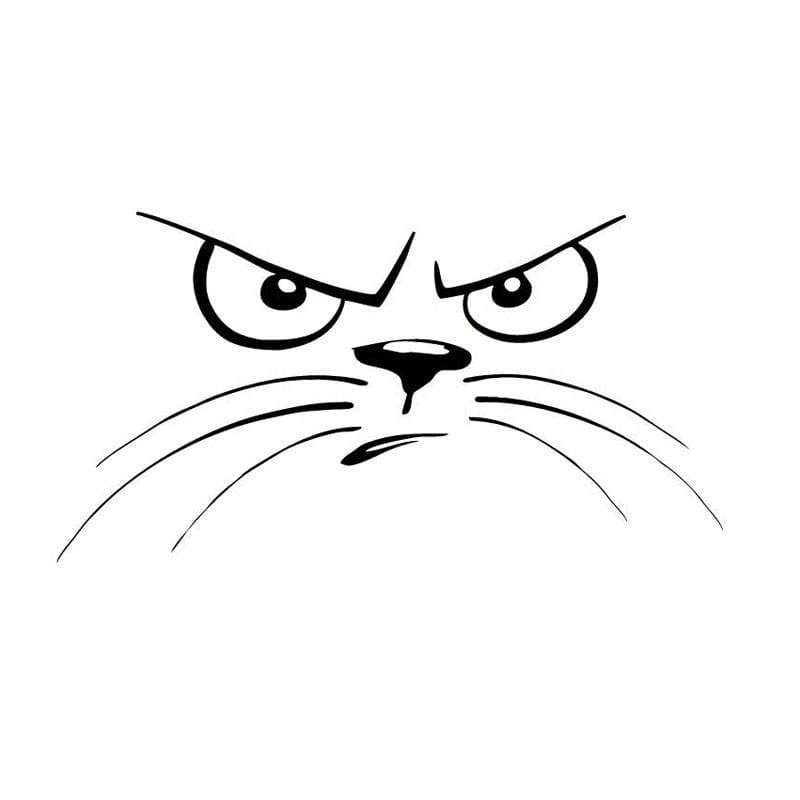 800x800 Not Happy Cat Face Animal Window Sticker Catrescue - Happy Cat Drawing