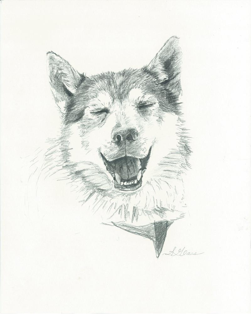 800x1000 High Country Creations - Happy Dog Drawing