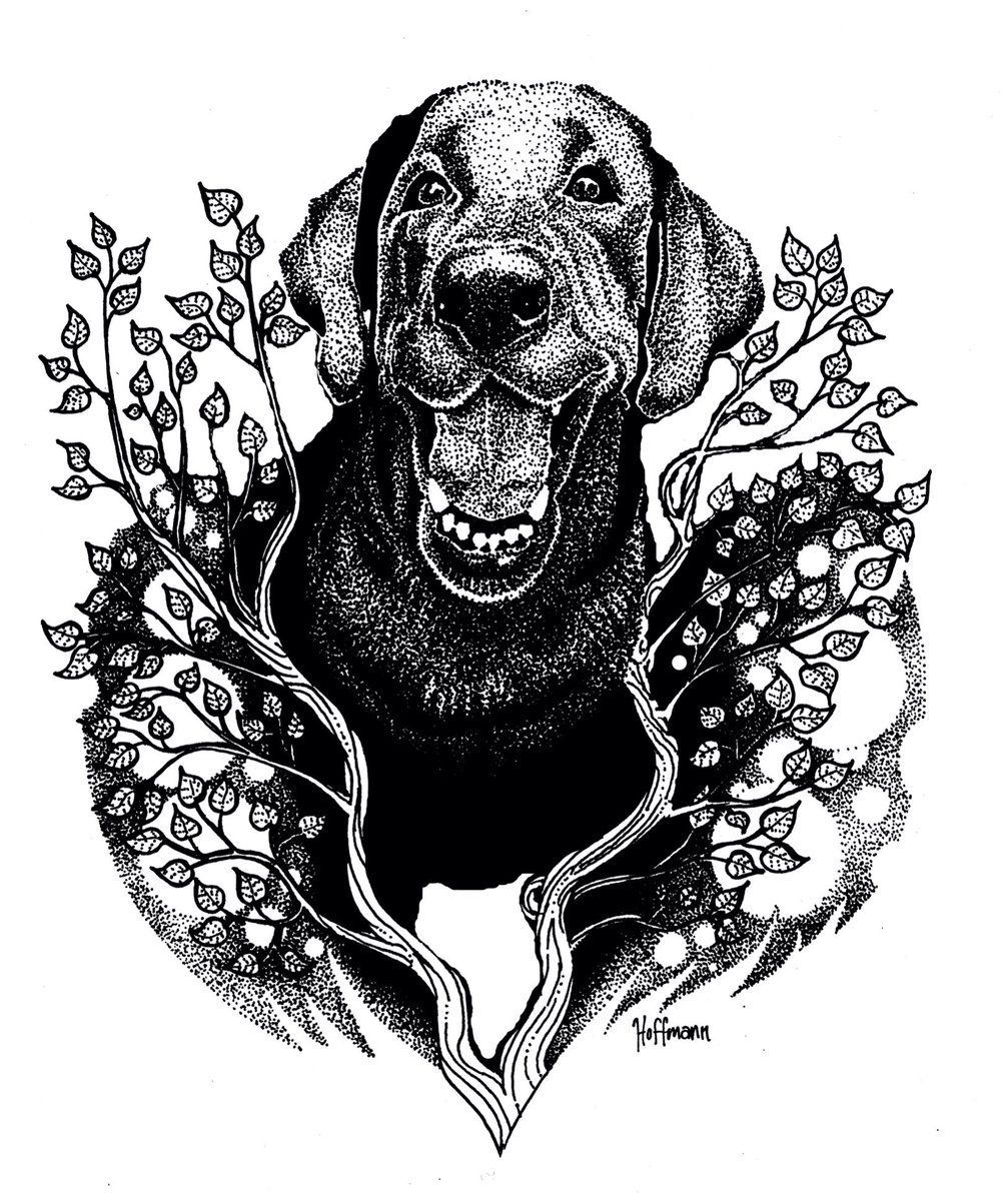 1007x1200 Peter Hoffmann On Twitter My Happy Dog Drawing - Happy Dog Drawing