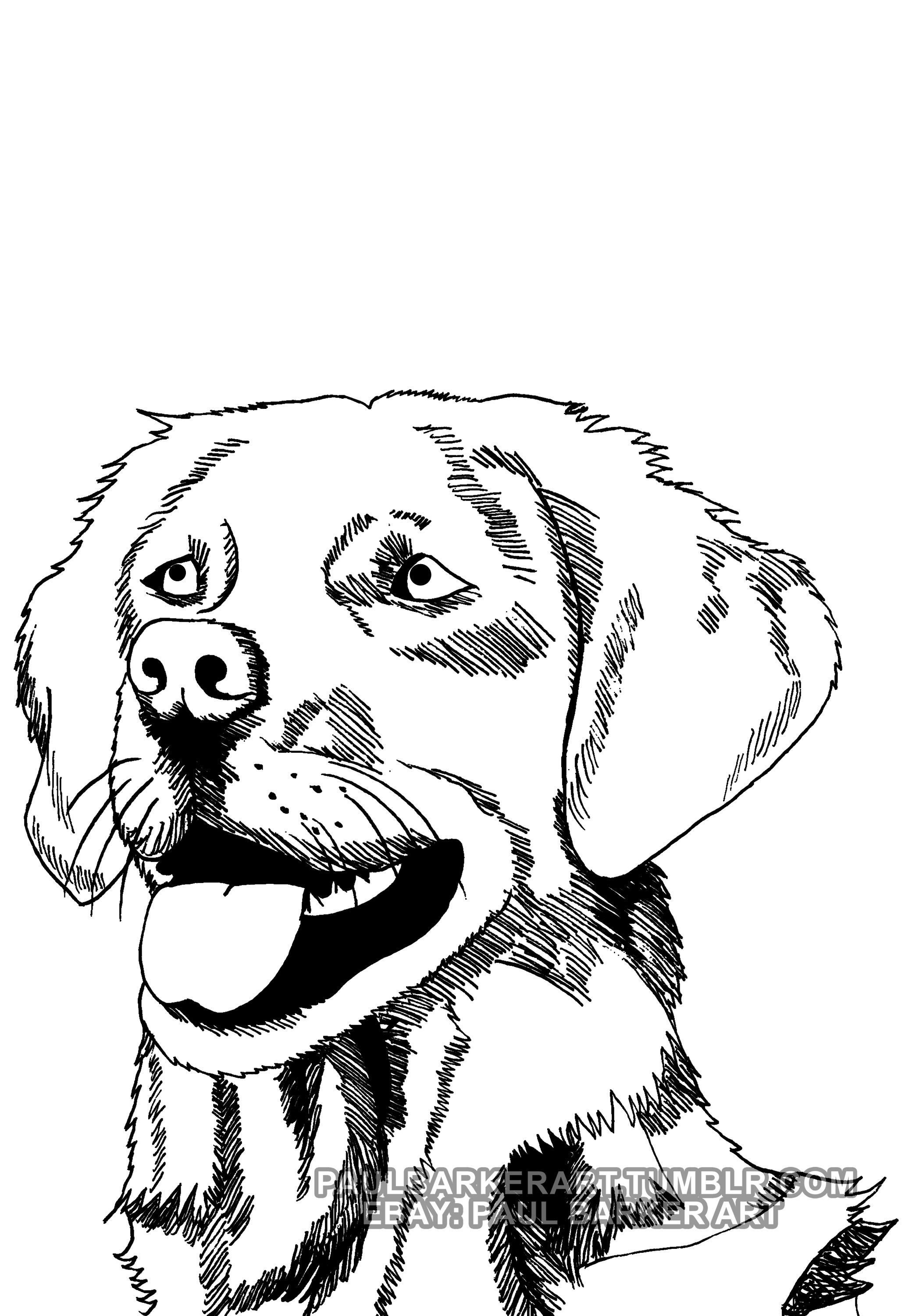 2064x3000 This Is Happy Dog As A Work In Progress - Happy Dog Drawing