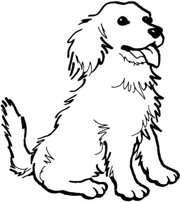 600x667 Dogs, A Happy Dog Coloring - Happy Dog Drawing