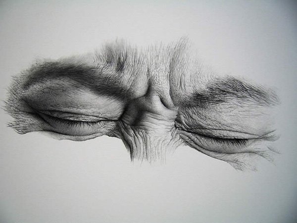 600x450 Expressive Drawings Of Eyes Art And Design - Happy Eyes Drawing