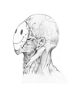 254x300 put on a happy face drawing - Happy Face Drawing