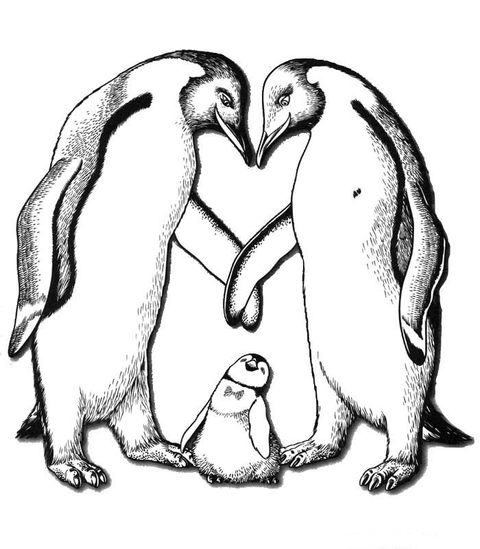700x800  - Happy Feet Drawing