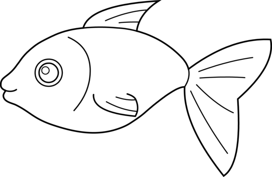 550x358 Happy Fish Drawing - Happy Fish Drawing