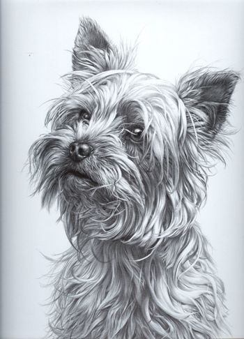 350x486 mike sibley - Hard Drawings