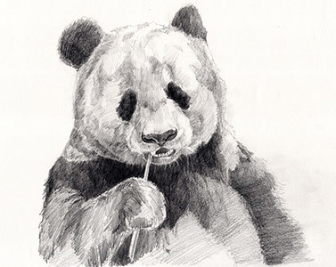 377x300 why is drawing hard and what to do about it to draw better - Hard Drawings