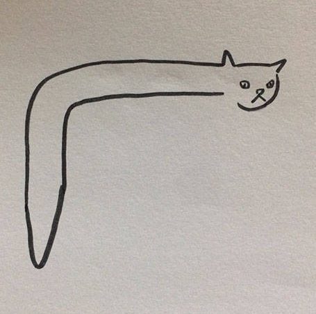 455x453 although it's hard to spot, these cat drawings are actually pretty - Hard Drawings