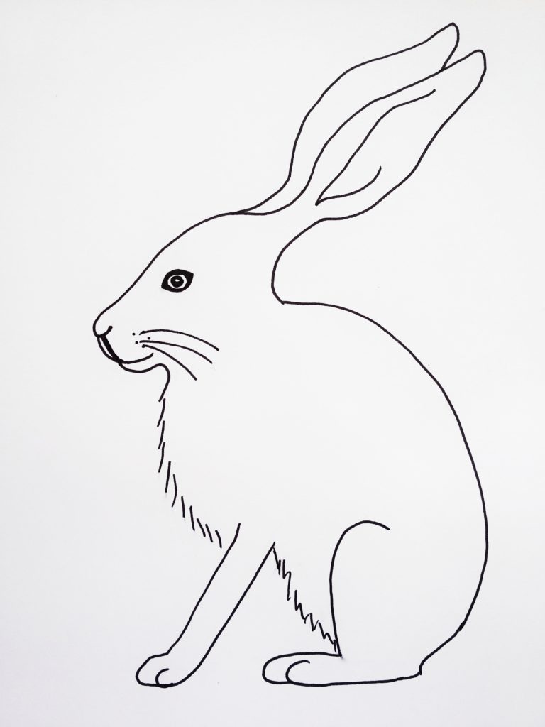 768x1024 how to draw a hare - Hare Drawing