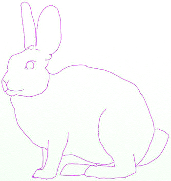 350x371 how to draw a hare - Hare Drawing