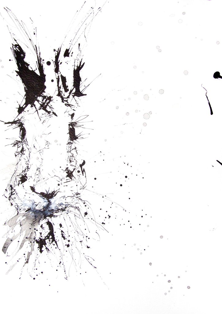 724x1024 jen buckley signed print of my original hare ink drawing - Hare Drawing