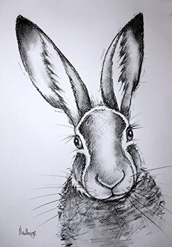 349x500 large original charcoal hare drawing - Hare Drawing