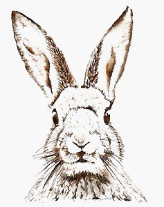 237x300 vintage print poster rabbit bunny hare large art drawing for glass - Hare Drawing