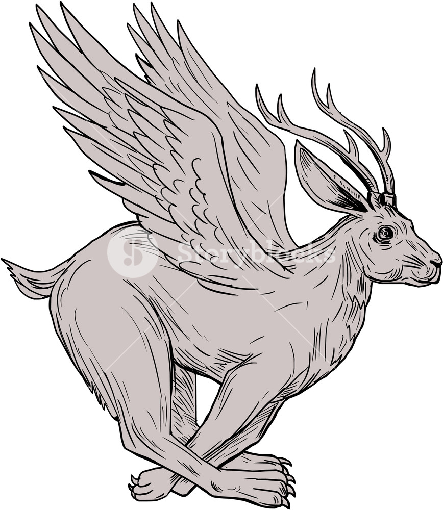 868x1000 Drawing Sketch Style Illustration Of A Wolpertinger, In Bavarian - Hare Line Drawing