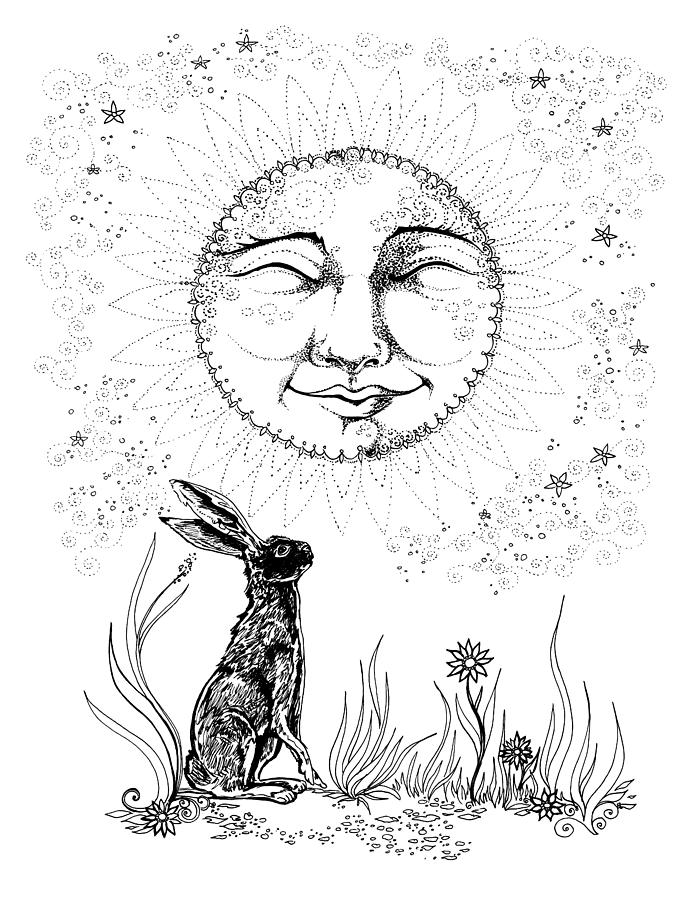 695x900 flower hare grass full moon line art drawing - Hare Line Drawing