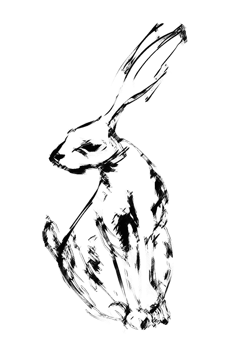 Hare Line Drawing at PaintingValley.com | Explore collection of Hare