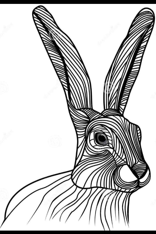 640x960 hare line drawing craft projects on the go - Hare Line Drawing
