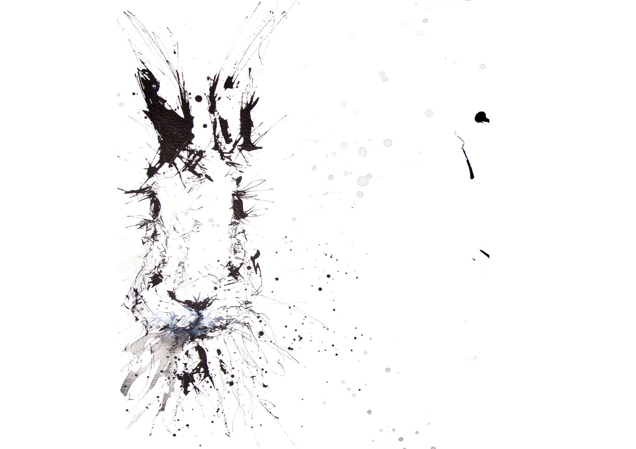 2048x1448 jen buckley signed print of my original hare ink drawing - Hare Line Drawing