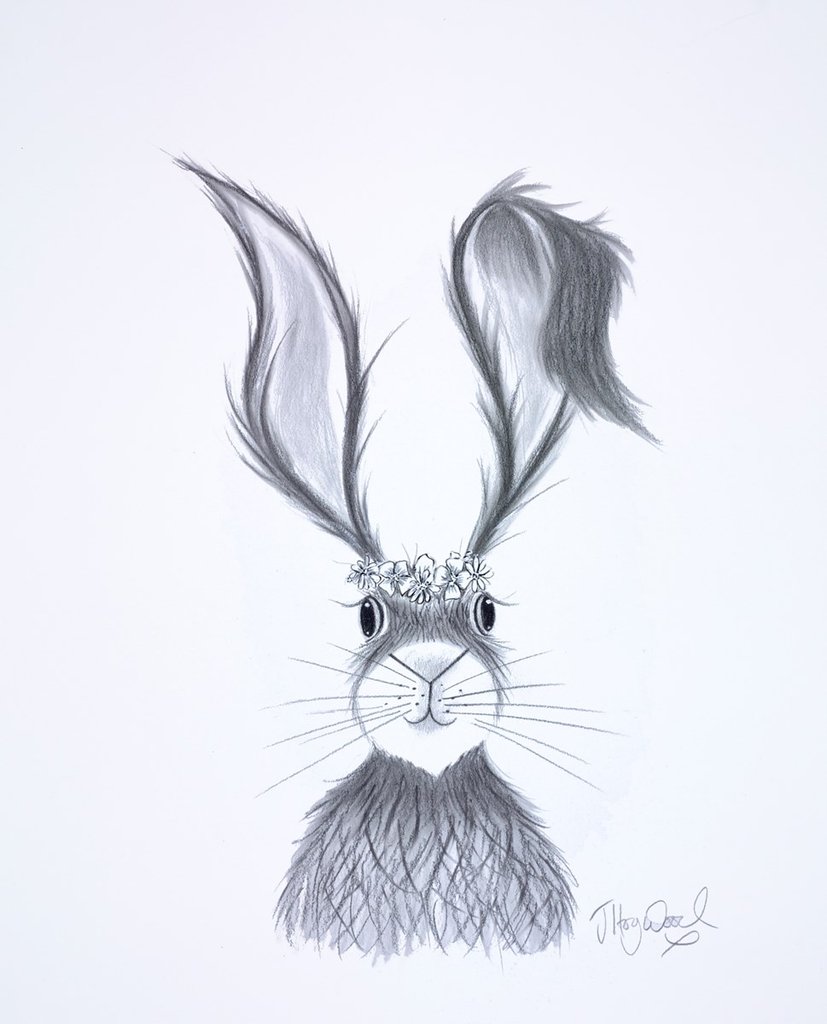 827x1024 original fleur hare sketch - Hare Line Drawing