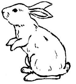 250x274 line drawing of bunnies - Hare Line Drawing