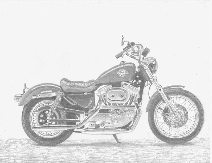 900x695 Harley Davidson Sportster Motorcycle Art Print Drawing - Harley Davidson Drawings