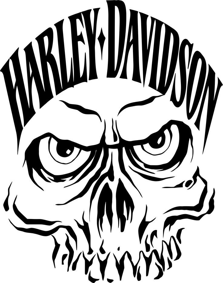 736x933 harley davidson and skull emblem bikers subcultures harley - Harley Davidson Logo Drawings