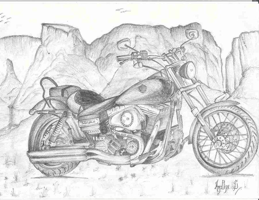 900x695 Harley Davidson Bike Drawing - Harley Davidson Motorcycle Drawing