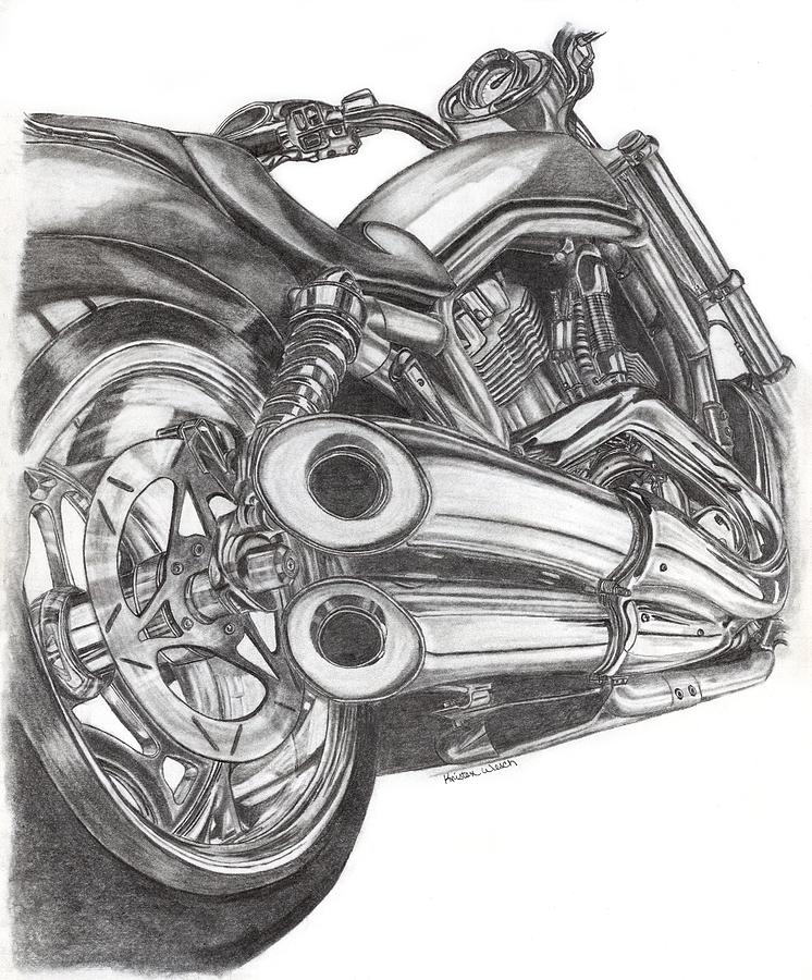 746x900 Harley Drawing - Harley Drawing