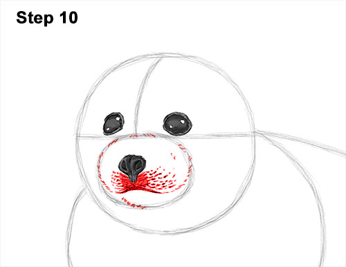 500x386 How To Draw A Seal Pup - Harp Seal Drawing